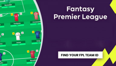 How to find your FPL Team ID?